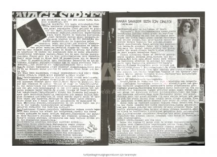 LANETH-0408