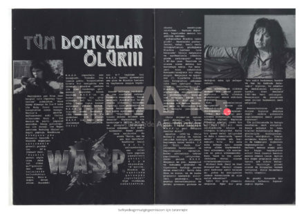 W.A.S.P.
